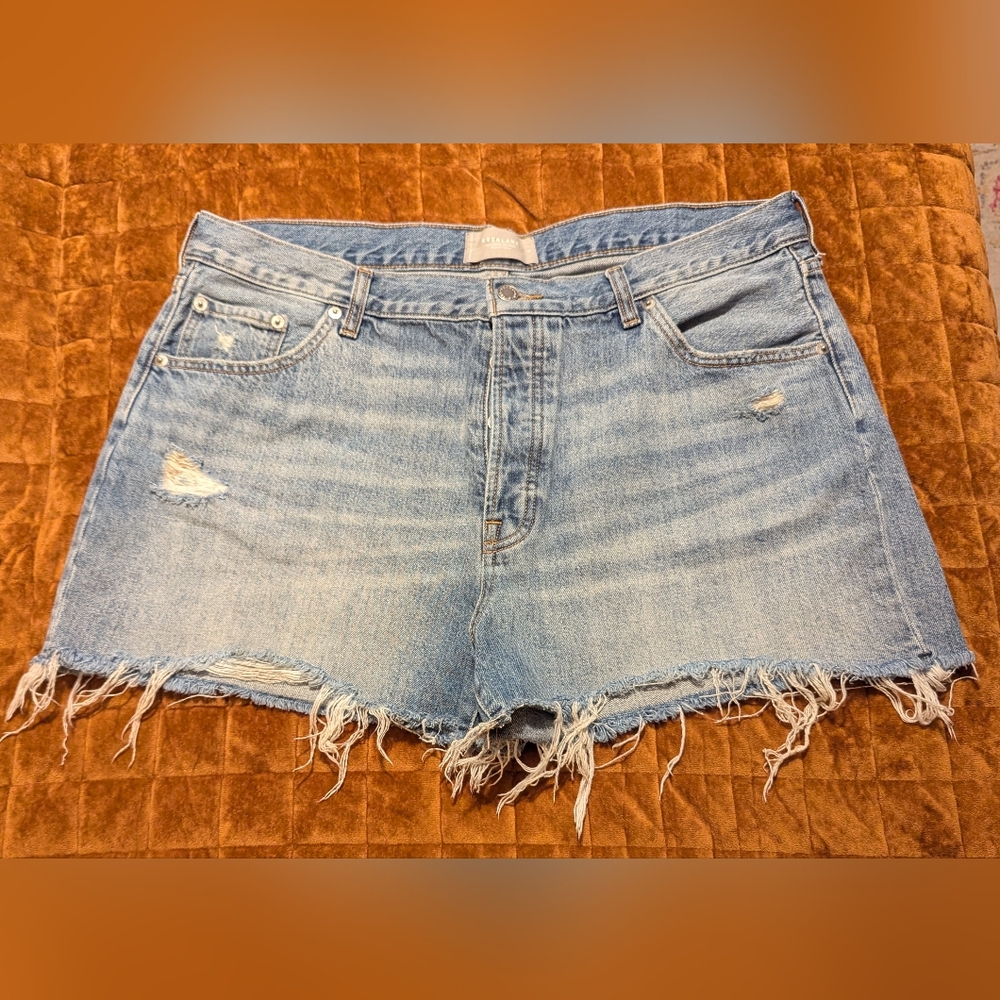 Everlane The Relaxed 90's Denim Jean Cutoff Short Distressed Indigo 33